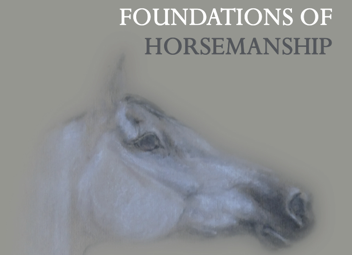 NEW BOOK AVAILABLE! ** “FOUNDATIONS OF HORSEMANSHIP: UNDERSTANDING THE NATURE OF HORSES AND THEIR PROGRESSIVE EDUCATION IN-HAND” **
